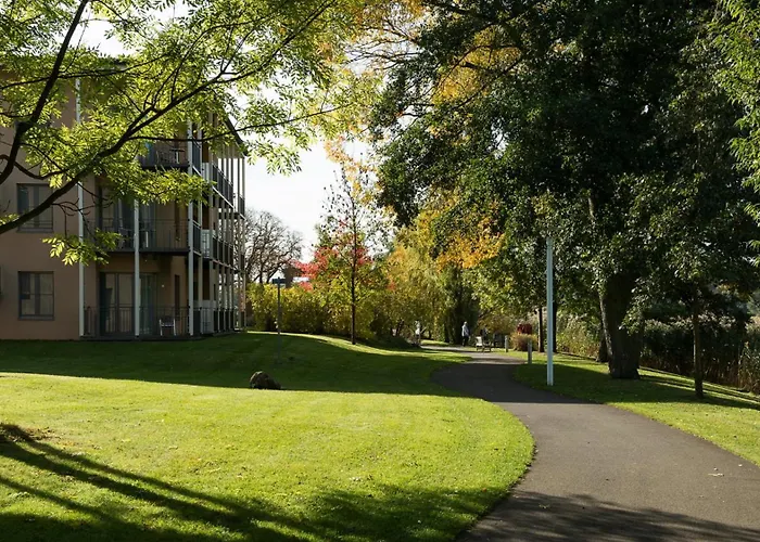 酒店 Seehotel 赖因斯贝格